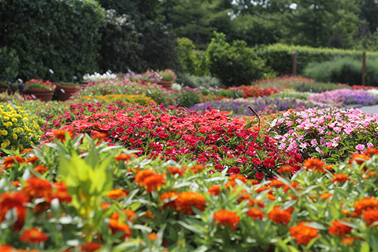 St. Louis Botanical Garden