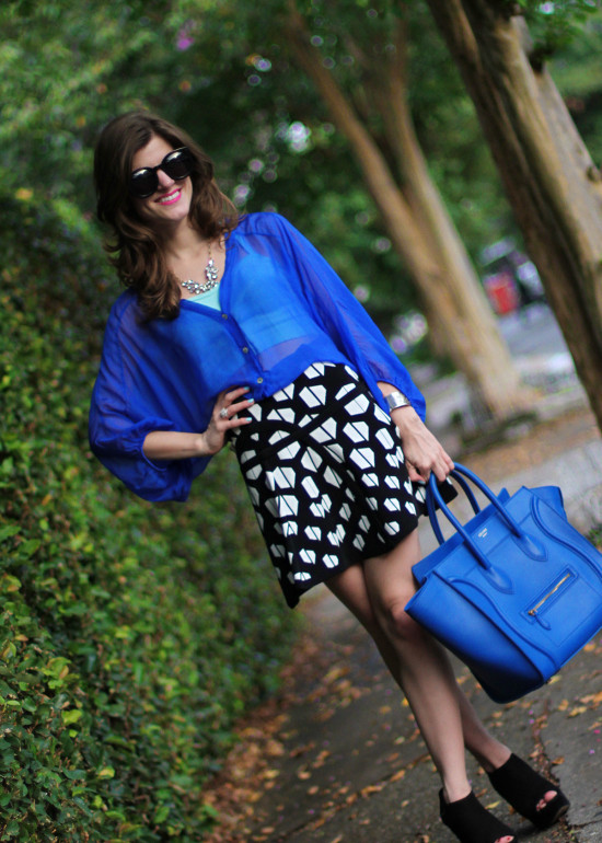 Fit and Flare Skirt 