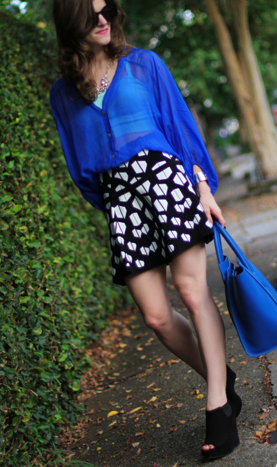 Fit and Flare Skirt 