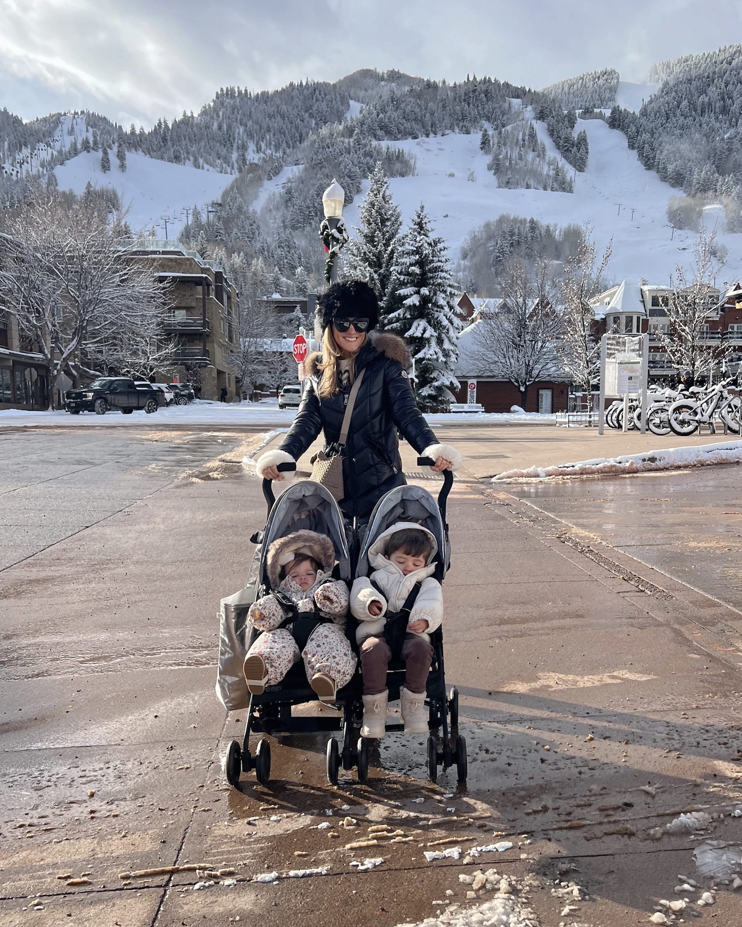 brighton butler double stroller in aspen