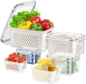 Fridge Storage Containers