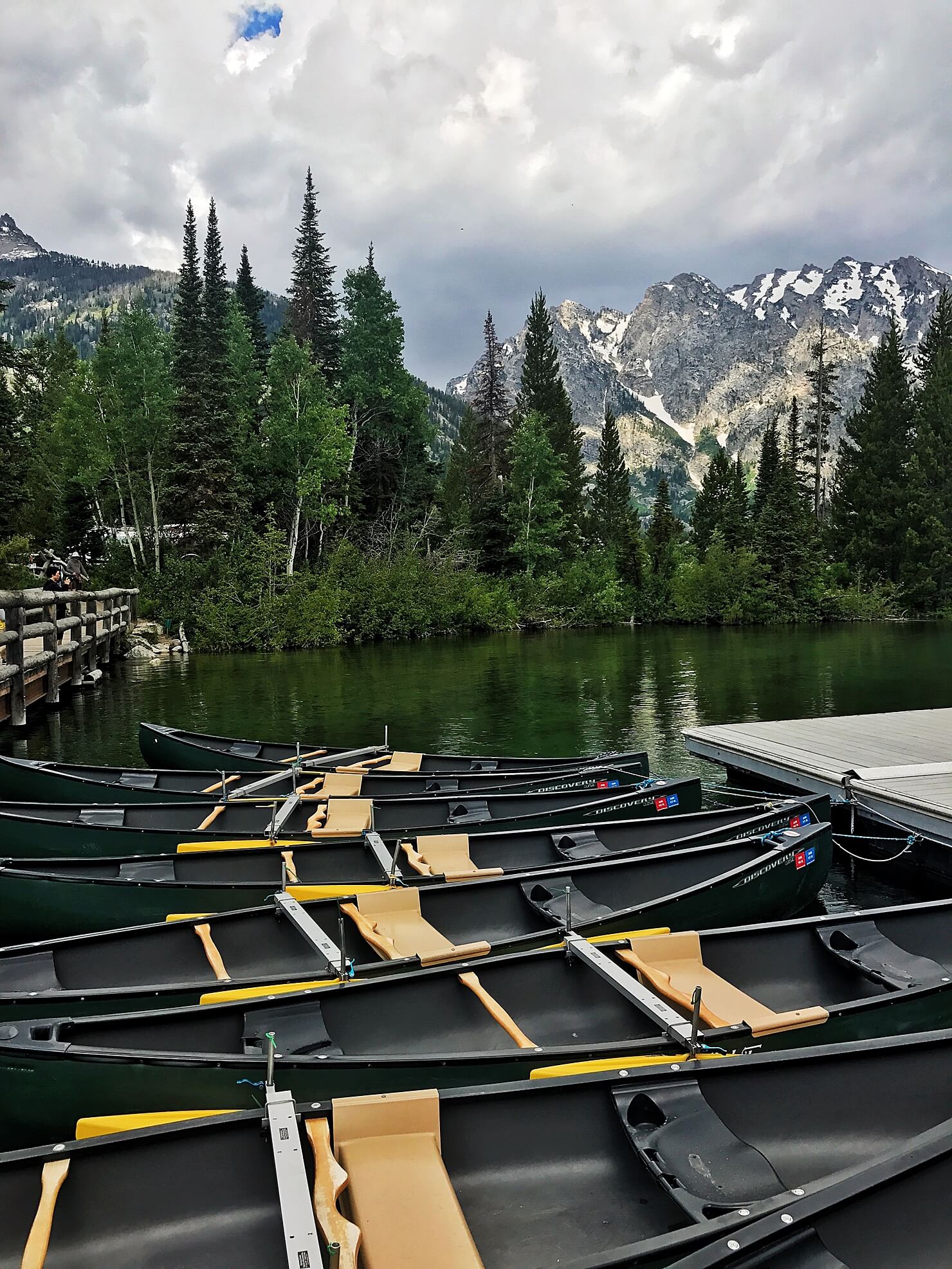 jenny lake in jackson, WY