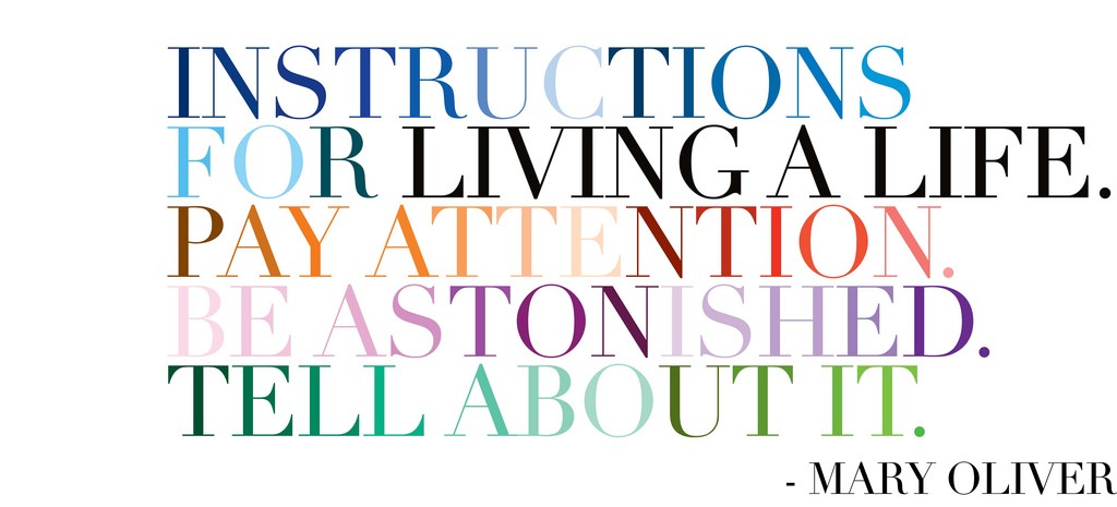 il_fullxfull.225958905