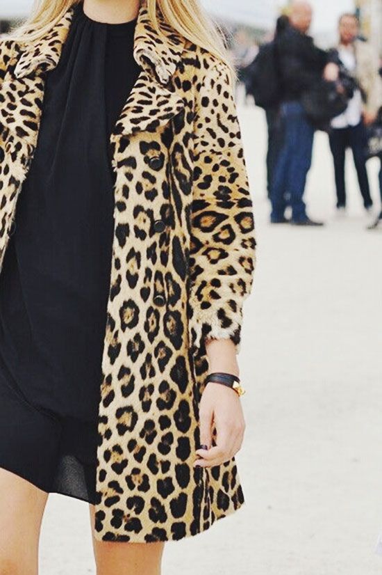 leopard coat 2