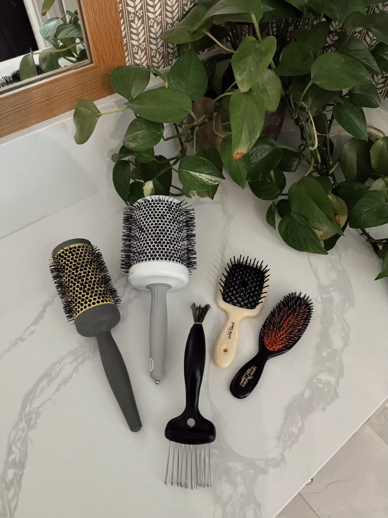 brighton butler Hair Brush Cleaner